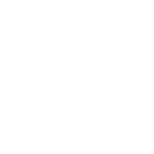 Logo-Designs-BCW-temp